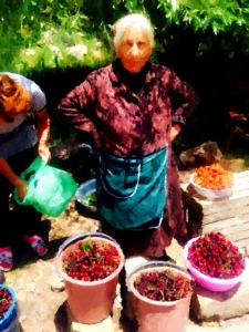 Woman selling fresh (delicious!) cherries by the roadside in the Astarak region. Her livelihood depends on a good crop. (Photo, AB Wallis, June 2015).
